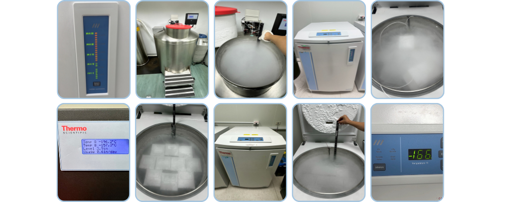 液態氮桶校驗｜液面高度與溫度比對｜銳靛生技 READY