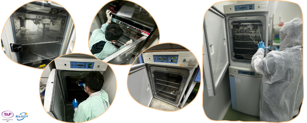 TAF CO₂濃度校正|ISO 17025 認證實驗室|銳靛生技 READY TAF CO₂濃度校正|ISO 17025 認證實驗室|銳靛生技 READY