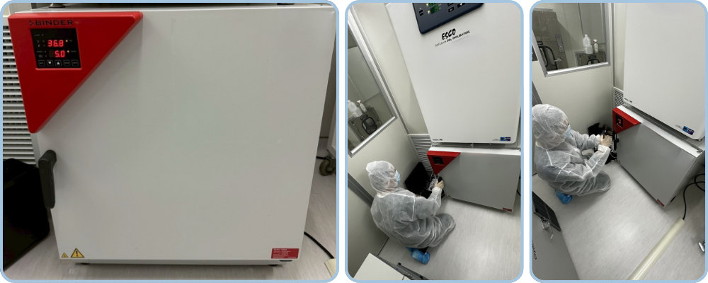 培養箱校驗紀錄|CO₂濃度與溫度穩定性測試|銳靛生技 READY 培養箱校驗紀錄|CO₂濃度與溫度穩定性測試|銳靛生技 READY