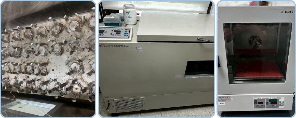 振盪培養箱校驗紀錄｜溫度與轉速測試｜銳靛生技 READY