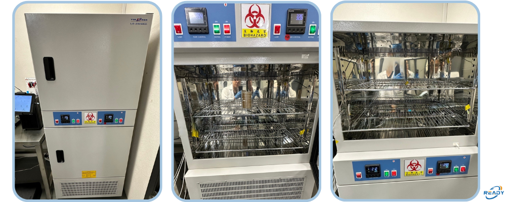 雙溫培養箱校驗紀錄｜上層 32.5°C & 下層 22.5°C｜READY 銳靛生技