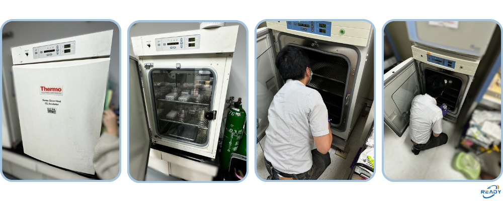CO₂ 培養箱校驗紀錄:37°C 溫度 & 5% CO₂ 測試|ESCO / THERMO 濾網更換服務|銳靛生技 CO₂ 培養箱校驗紀錄:37°C 溫度 & 5% CO₂ 測試|ESCO / THERMO 濾網更換服務|銳靛生技