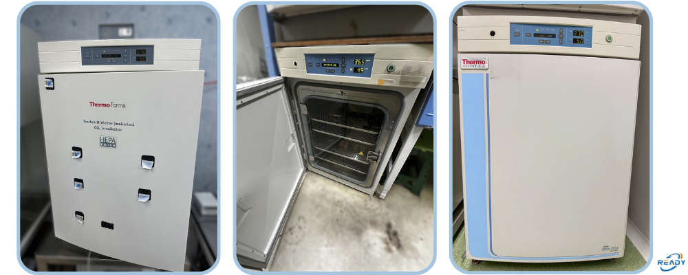 培養箱環境穩定性與污染風險管理｜READY 銳靛生技