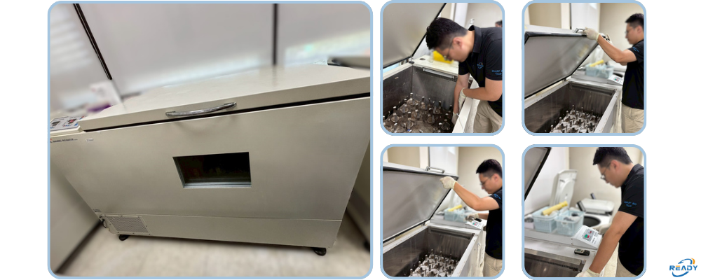 迴轉式振盪培養箱精密校驗服務:轉速(RPM)與客製化溫度雙重維度確效|READY 銳靛生技 迴轉式振盪培養箱精密校驗服務:轉速(RPM)與客製化溫度雙重維度確效|READY 銳靛生技