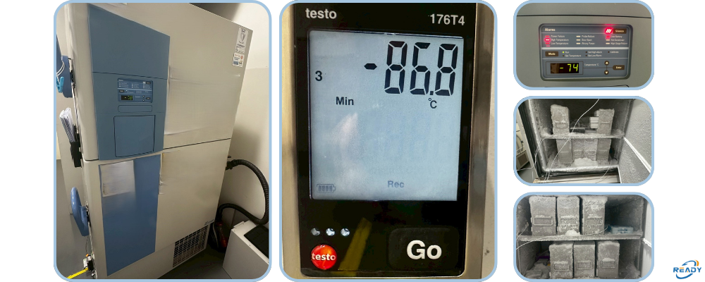 −80°C 冷凍櫃校驗服務｜校驗報告內容包含什麼？｜READY 銳靛生技