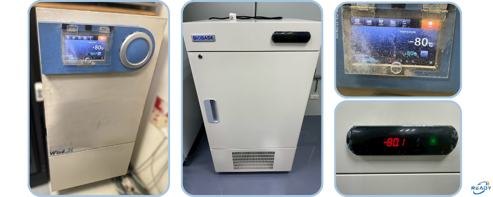 -80°C 超低溫冷凍櫃校正服務說明｜READY 銳靛生技