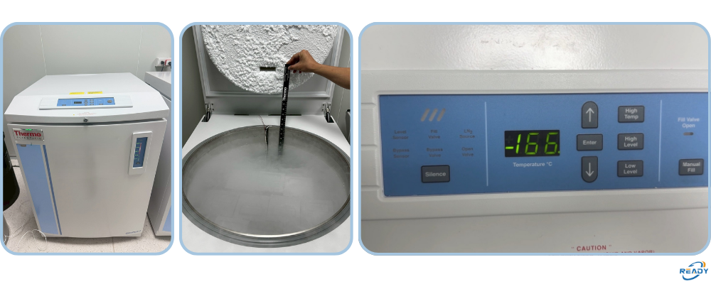 液態氮桶校驗｜液面高度與溫度比對｜銳靛生技 READY