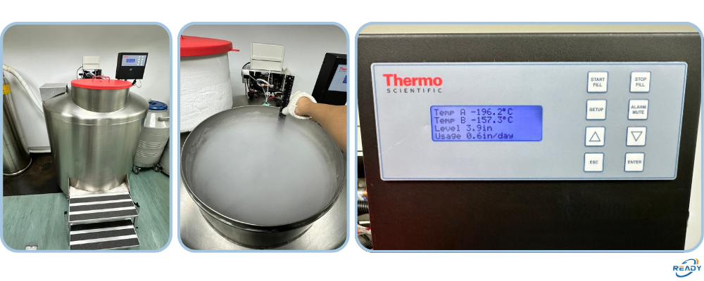 大容量液態氮儲存系統驗證｜-196℃ 溫度與液位高度校驗 ｜READY 銳靛生技