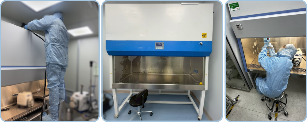 生物安全櫃校驗紀錄｜九大項檢測一次到位｜READY 銳靛生技
