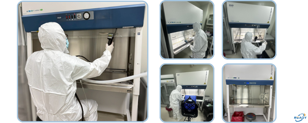 實驗室BSC檢測項目說明｜READY 銳靛生技