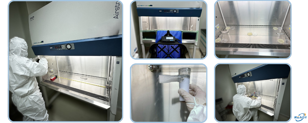 BSC操作台檢測依據與適用標準說明｜氣流穩不穩，關係到人與樣品安全｜READY 銳靛生技